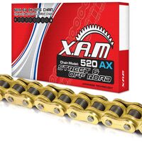 CHAIN XAM 520 AX GOLD/GOLD X 104 X-RING