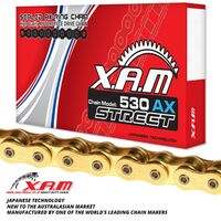 CHAIN XAM 530AX GOLD/GOLD X 106 X-RING