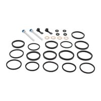 CALIPER REBUILD KIT FRONT 18-3141