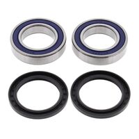 WHEEL BEARING KIT REAR 25-1132