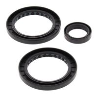 DIFF SEAL KIT REAR - INDENT 25-2056-5