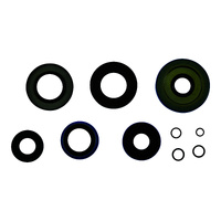Transaxle Seal Kit  25-2085-5