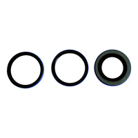 Differential Seal Only Kit 25-2098-5