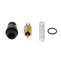 CHOKE PLUNGER KIT 46-1056