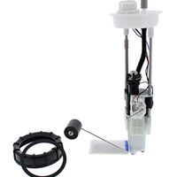 FUEL PUMP MODULE - PUMP, FILTER, HOUSING, NUT , GSKT ETC