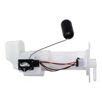 FUEL PUMP MODULE - PUMP, FILTER, HOUSING, NUT , GSKT ETC