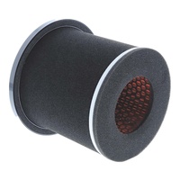 Air Filter  48-1078