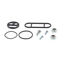 FUEL TAP REBUILD KIT 60-1030 INDENT