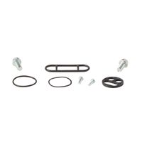 FUEL TAP REPAIR KIT 60-1091