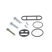 FUEL TAP REBUILD KIT 60-1118