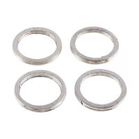 EXHAUST GASKET KIT 823029