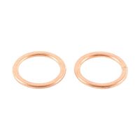 EXHAUST GASKET KIT 823134