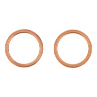 Exhaust Gasket Kit 823199