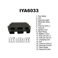 CDI MODULE IYA6033