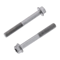 Bolt 8mm Euro Bolt 6x45mm (Packet of 10)