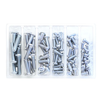 Bolt SVC M6/M8 Button Allen Service Kit