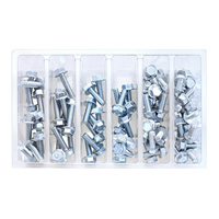 Bolt SVC M6 10mm Hex Flanged Bolt Service Kit