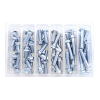 Bolt SVC M8 10mm Hex Flanged Bolt Service Kit