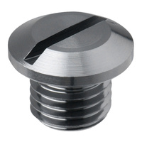 DRC Mirror Hole Plug M10 - Titanium