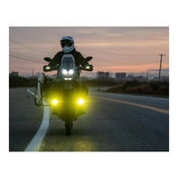 Denali D2 LED Light Pods with TriOptic Lens Kit  Selective Yellow