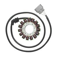STATOR YZFR-1 09-12