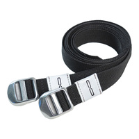 Giant Loop Cinch Straps '26 (Pair)