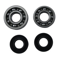 Main Bearing and Seal Kit HR00059