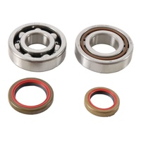 Main Bearing And Seal Kit