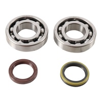 Main Bearing and Seal Kit