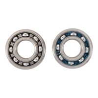 Main Bearing and Seal Kit