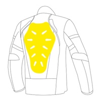 LS2 Back Protector (S-L)L