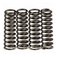 PREMIER CLUTCH SPRINGS - HEAVY DUTY