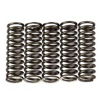 PREMIER CLUTCH SPRINGS - HEAVY DUTY