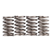 Premier Clutch Springs - Heavy Duty