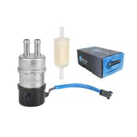 QUANTUM FRAME MOUNTED EFI FUEL PUMP WITH FUEL FILTER