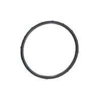 QUANTUM FUEL PUMP TANK SEAL GASKET