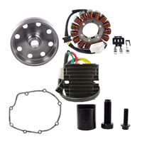 STATOR + KOKUSAN FLYWHEEL + MOSFET + PULLER (RMS900-103810)
