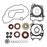 Complete Gasket Set with Oil Seals 8110002