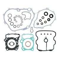 Complete Gasket Set with Oil Seals 8110036