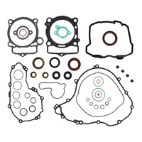 Complete Gasket Set with Oil Seals 8110044
