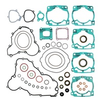 Complete Gasket Set with Oil Seals 8110062