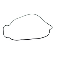 Outer Clutch Gasket Kit 817987