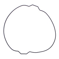 Outer Clutch Gasket Kit 819054