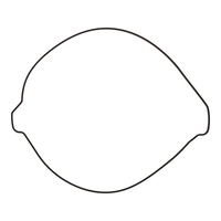 Outer Clutch Gasket Kit 819267