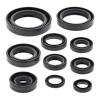 Oil Seal Kit 822107