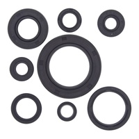 Oil Seal Kit 822111