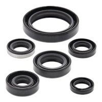 Oil Seal Kit 822137