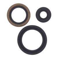 Oil Seal Kit 822143