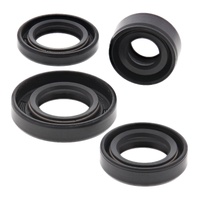 Oil Seal Kit 822162