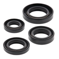 Oil Seal Kit 822163